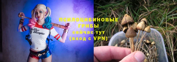 индика Алзамай