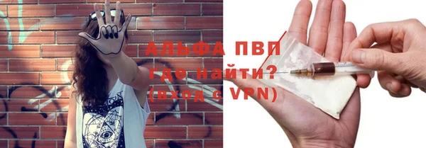 мет Алексин