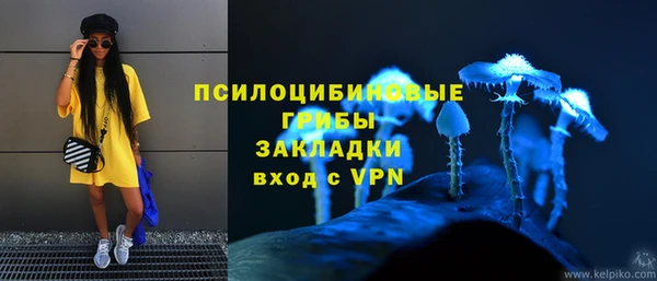индика Алзамай