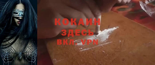 мет Алексин