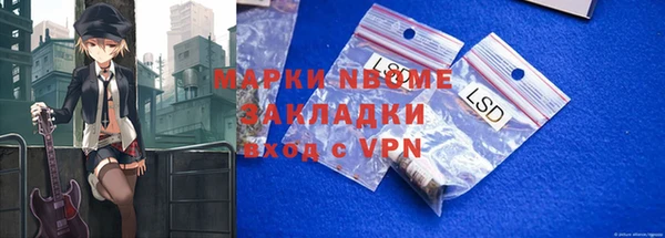 индика Алзамай